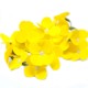 Craft Soap Flowers - Hyacinth Bean - Yellow