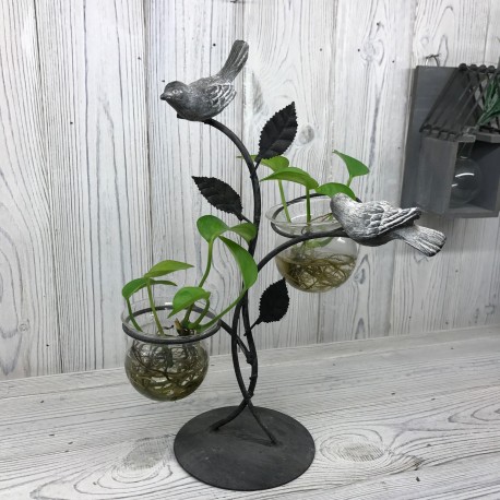 Hydroponic Home DÃ©cor - Two Pots and Birds