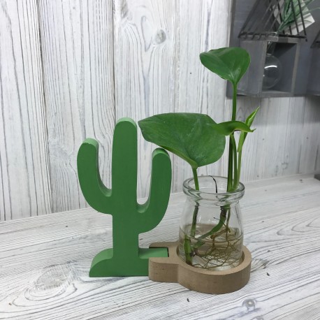 Hydroponic Home DÃ©cor - Cactus Pot