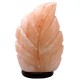 Crafted Salt lamp - Fern 3x5x7 inch