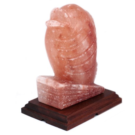 Fish Shaped Salt Lamp