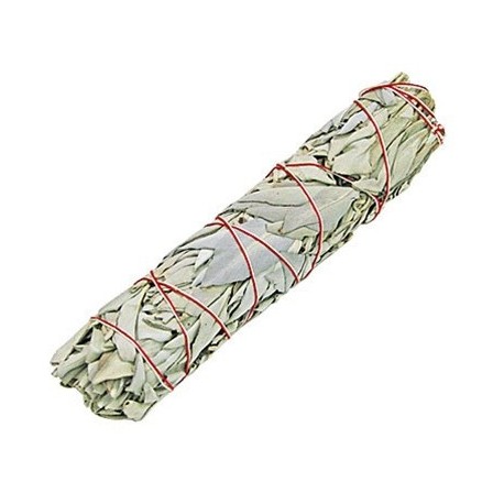 Smudge Stick - White Sage 22.5 cm