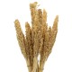 Cantal Grass Bunch - Natural